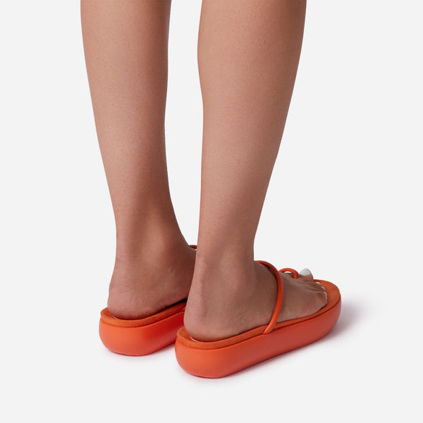Orange_3_8abb1663-10df-448d-aa36-8b36f29e607f_grande