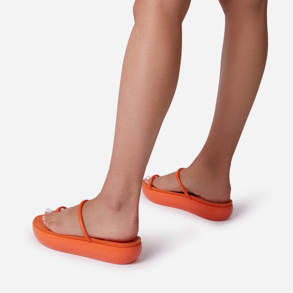 Orange_4_127529d0-6379-4d4e-ab74-b114028aee36_grande